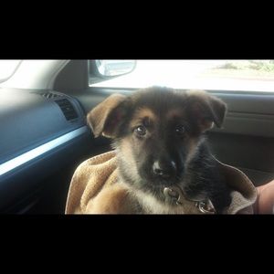 Meet your Posher, Barbara